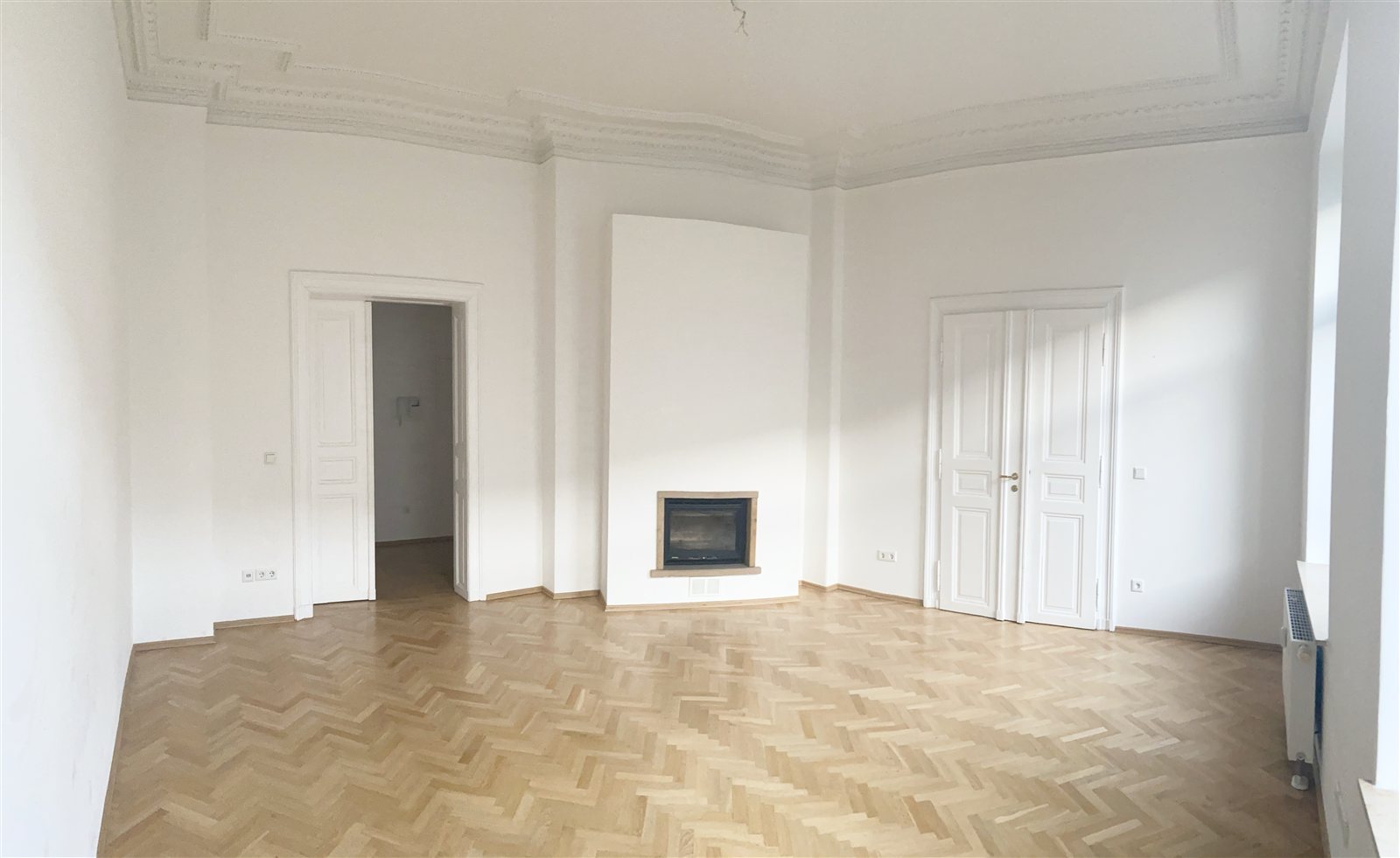 Salon mit Kamin und Stuckdecke